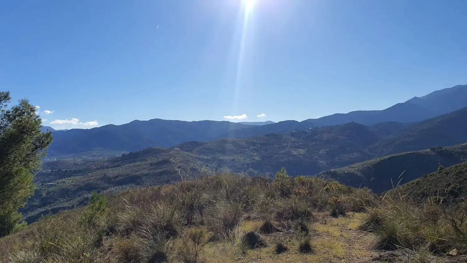 Vista exterior de Residencial en venta en Alozaina