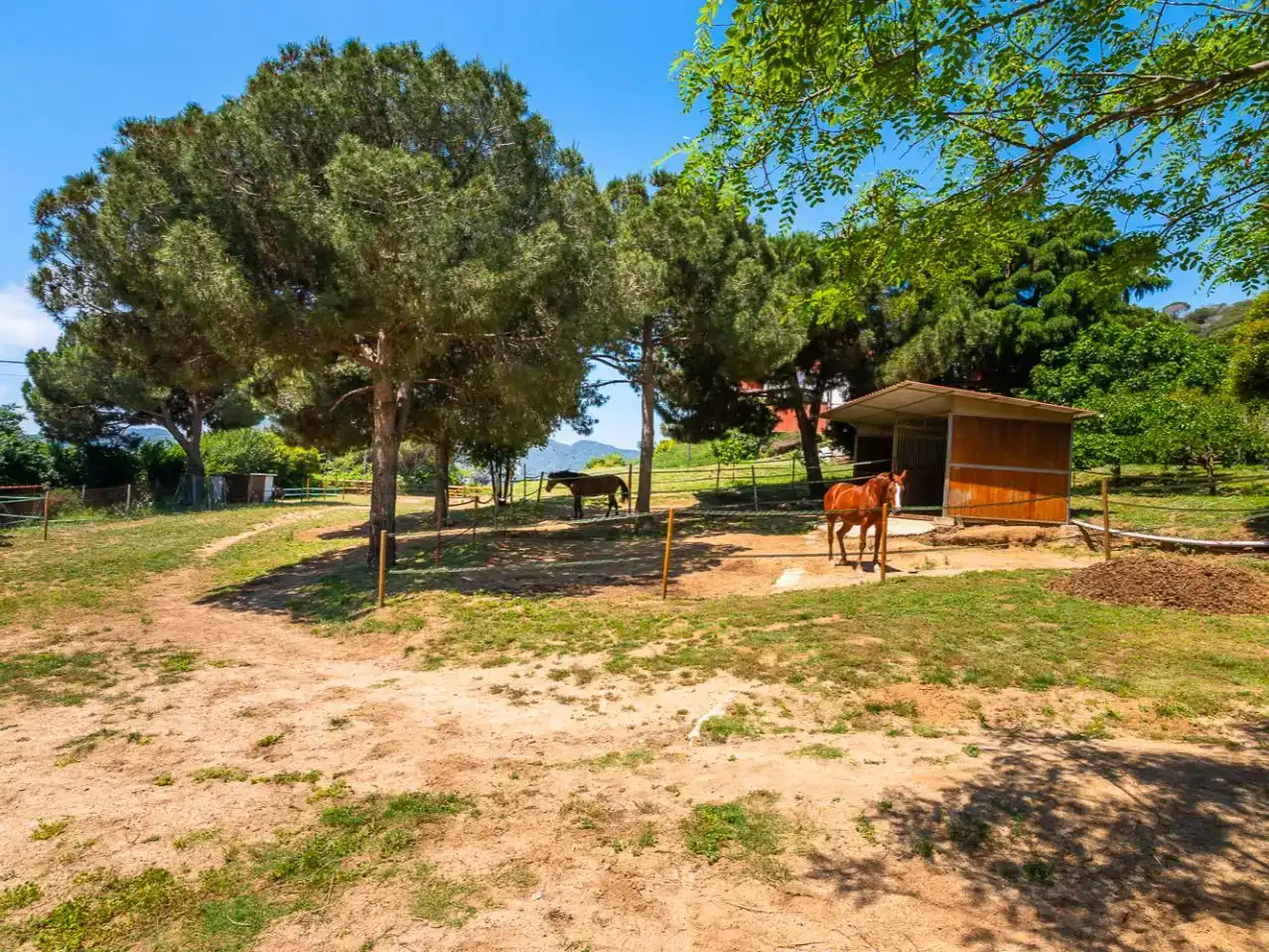 Vista exterior de Planta baixa en venda en Argentona amb Aire condicionat, Terrassa i Piscina