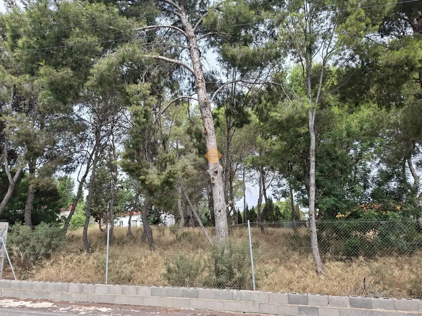 Terreno residenziale in vendita a La Conarda - Montesano, imagen 11