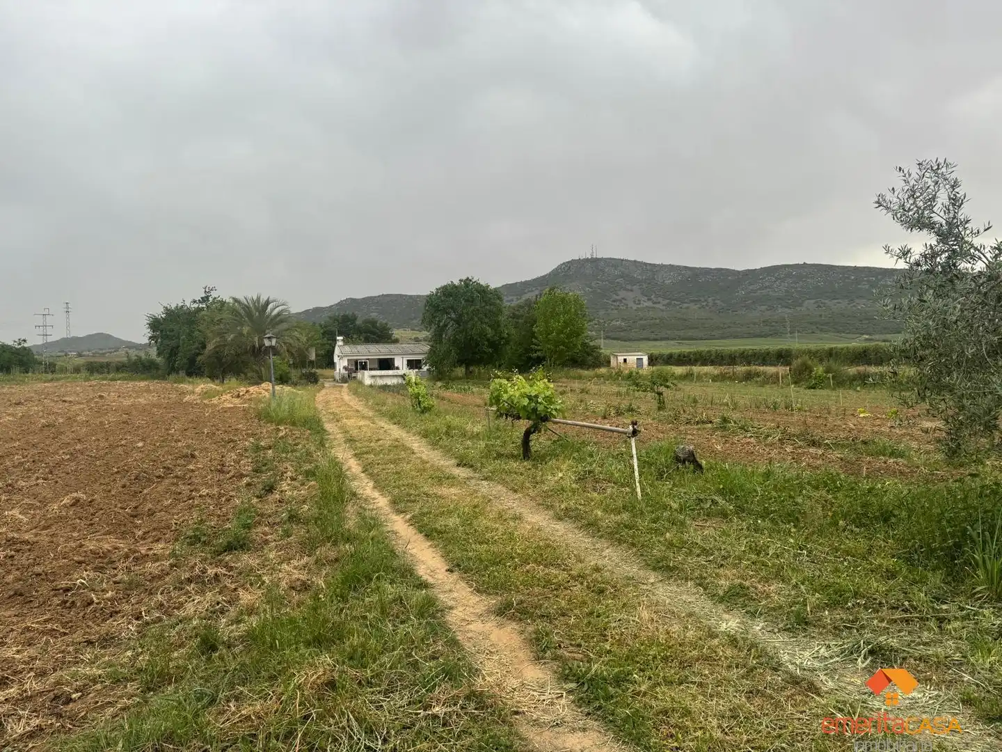 Casa rustica in vendita a Oeste, imagen 7