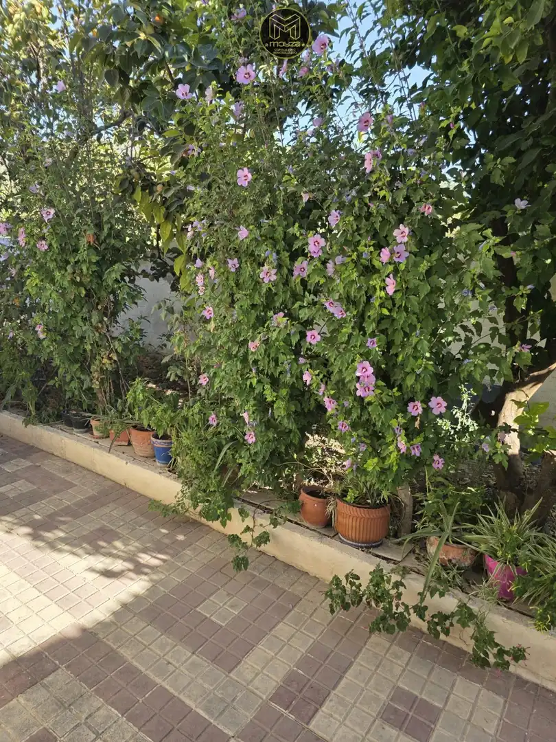 Jardí de Casa o xalet en venda en Jaén amb Aire condicionat, Calefacció i Piscina