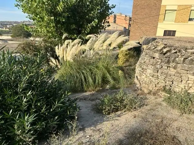 Vista exterior de Residencial en venta en Ribera d'Ondara