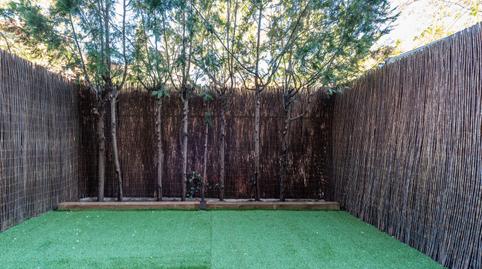 Foto 3 de Estudi de lloguer a Torrecilla del Puerto, 3, San Juan Bautista, Madrid