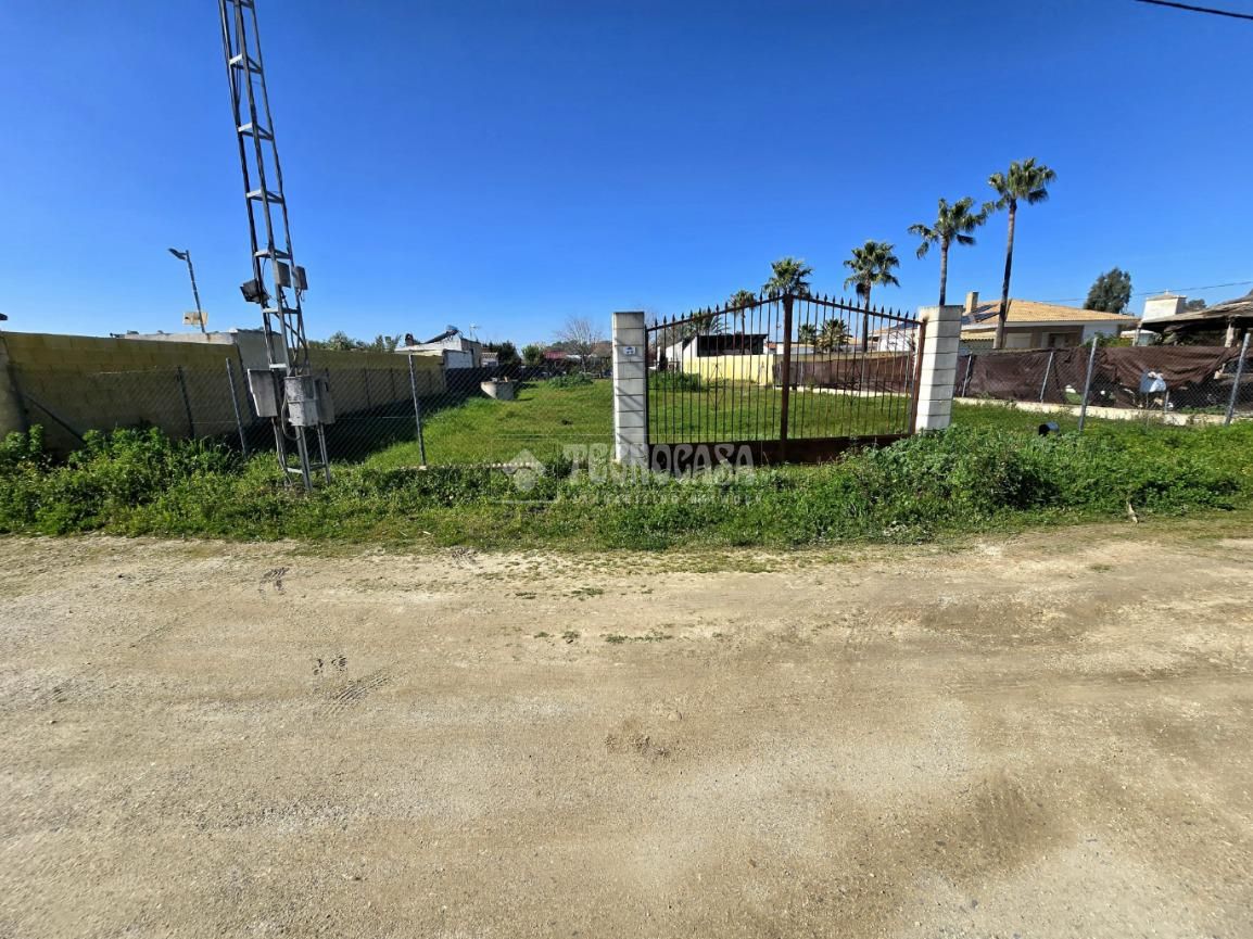 Land for sale in Arahal