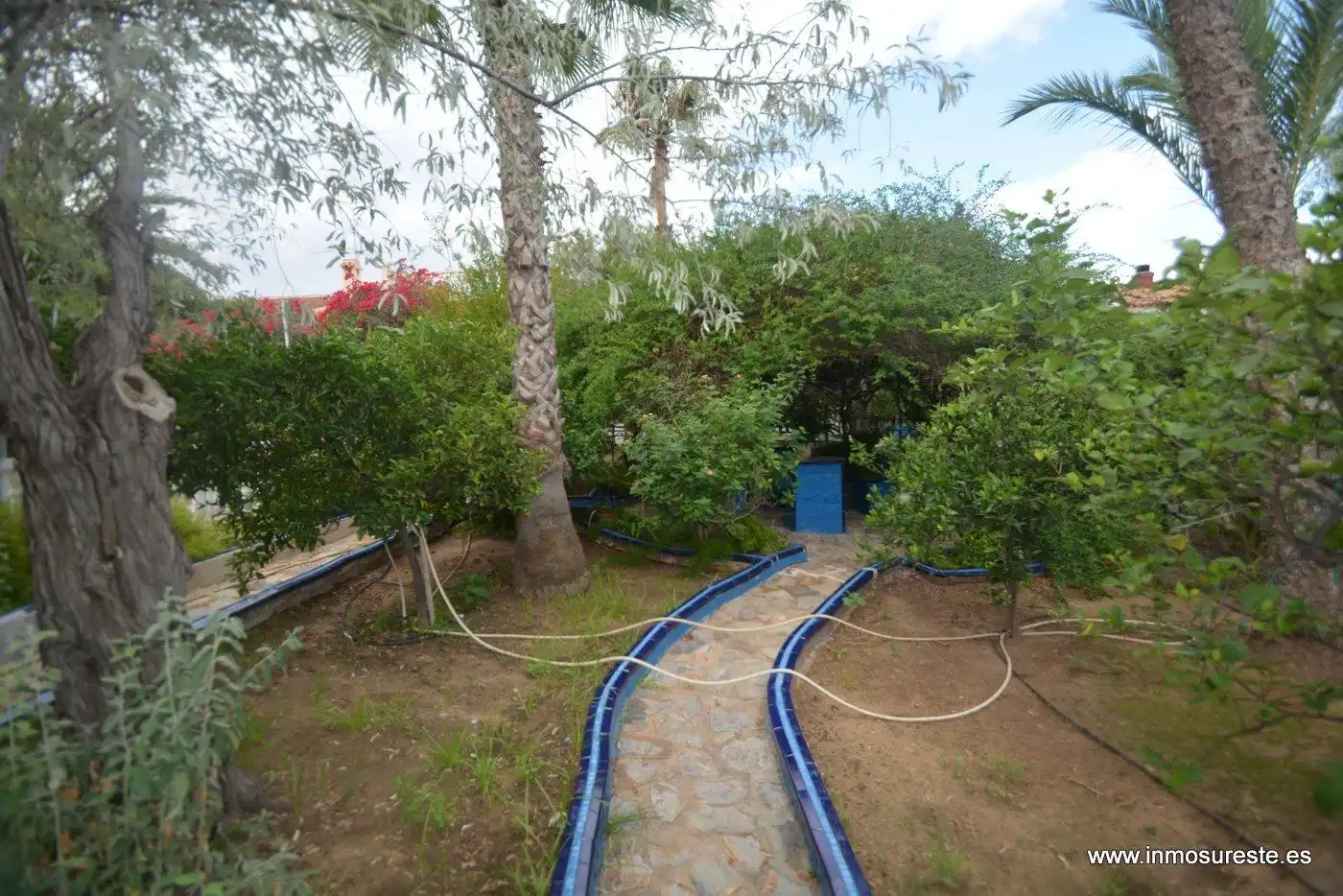 Xalet amb jardí en venda a Los Balcones - Los Altos, imagen 9