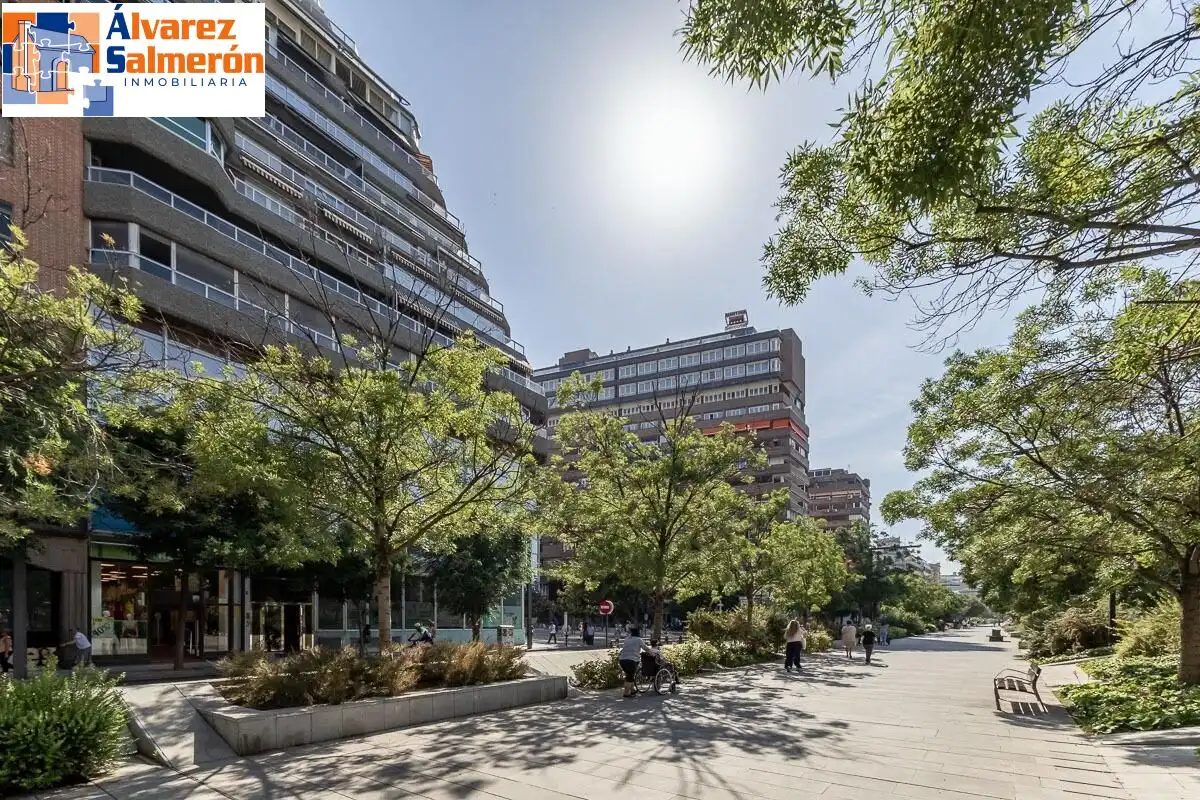 Appartamento con ascensore in vendita a Avenida de la Constitución, imagen 35