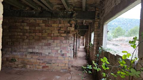 Photo 5 of Premises for sale in Freginals, Tarragona