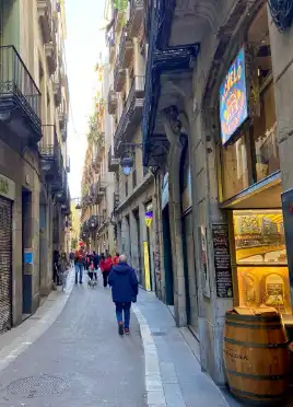 Wohnung mit Terrasse zum Verkauf in Carrer d'Avinyó, imagen 13