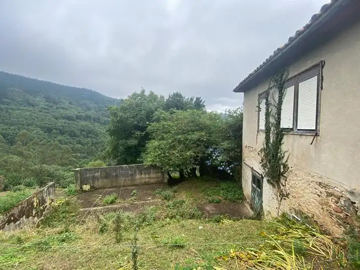Finca rústica en venta en Salas