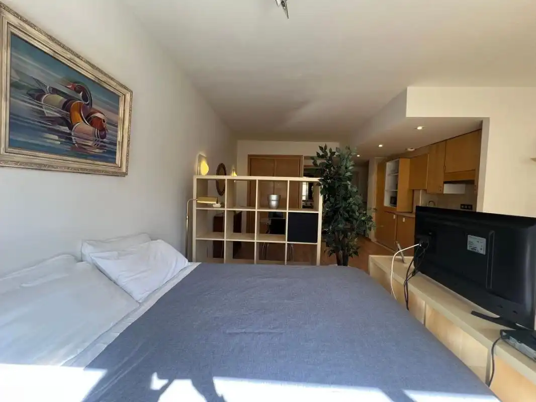 Study for rent in Calle de Serrano, Hispanoamérica - Bernabéu