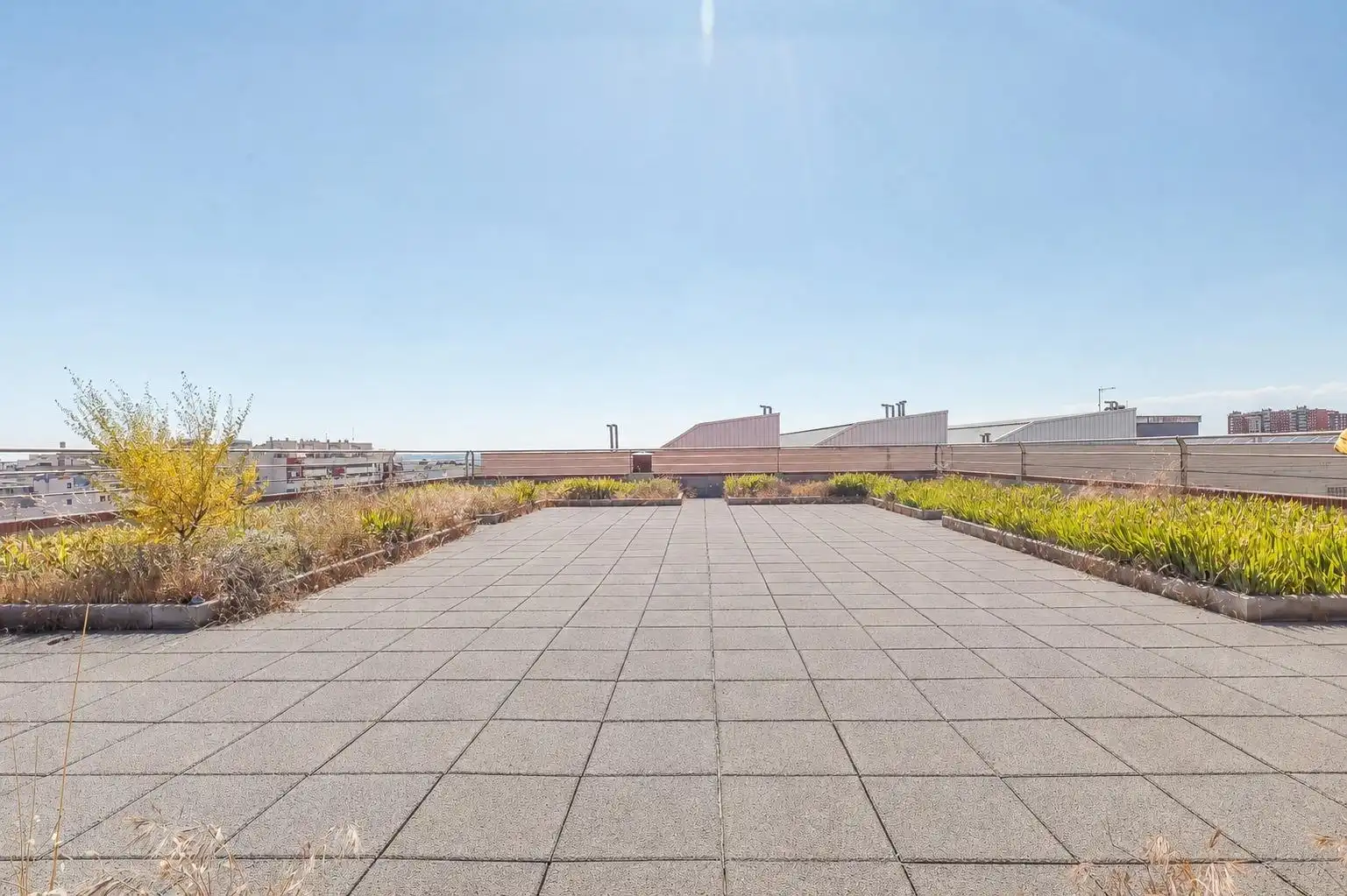 Terrace of Industrial buildings for rent in Madrid