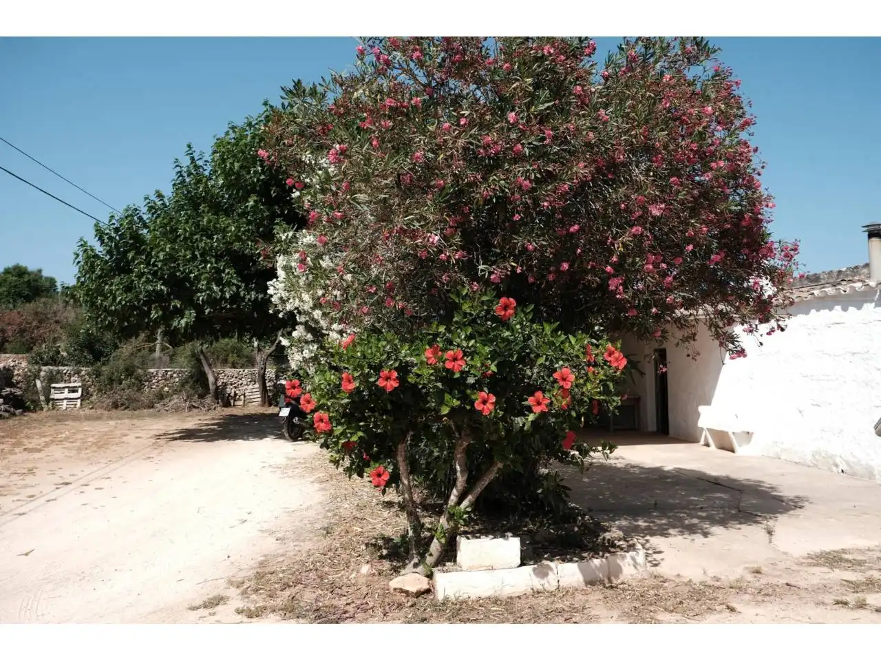 Jardín de Finca rústica en venta en Ciutadella de Menorca con Jardín privado y Piscina