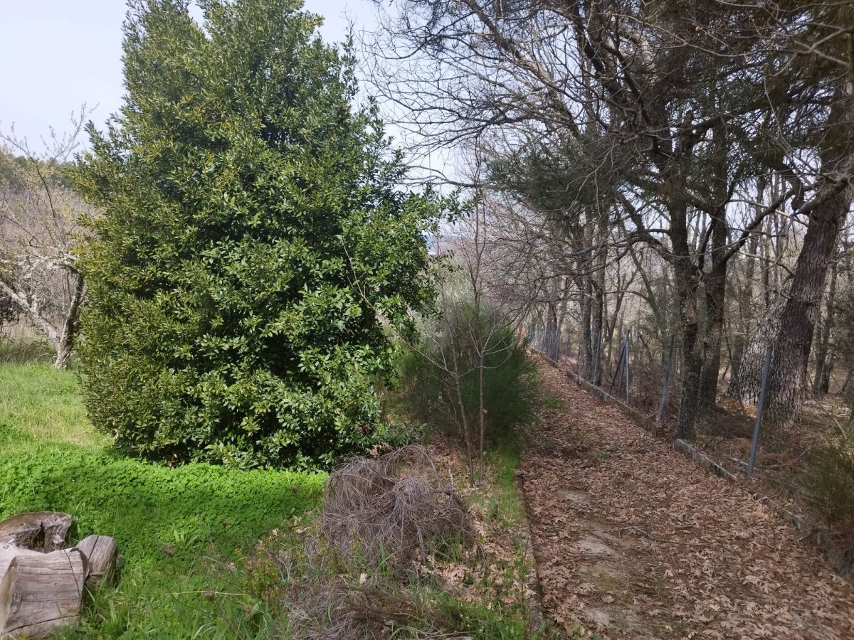 Country house zum verkauf in Robledo del Mazo mit Terrasse