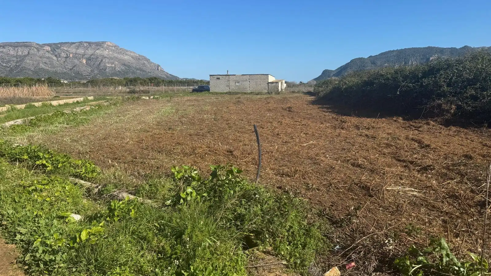 Finca rústica en venta en Simat de la Valldigna