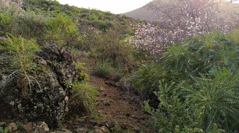 Photo 4 of Land for sale in Santiago del Teide pueblo, Santa Cruz de Tenerife