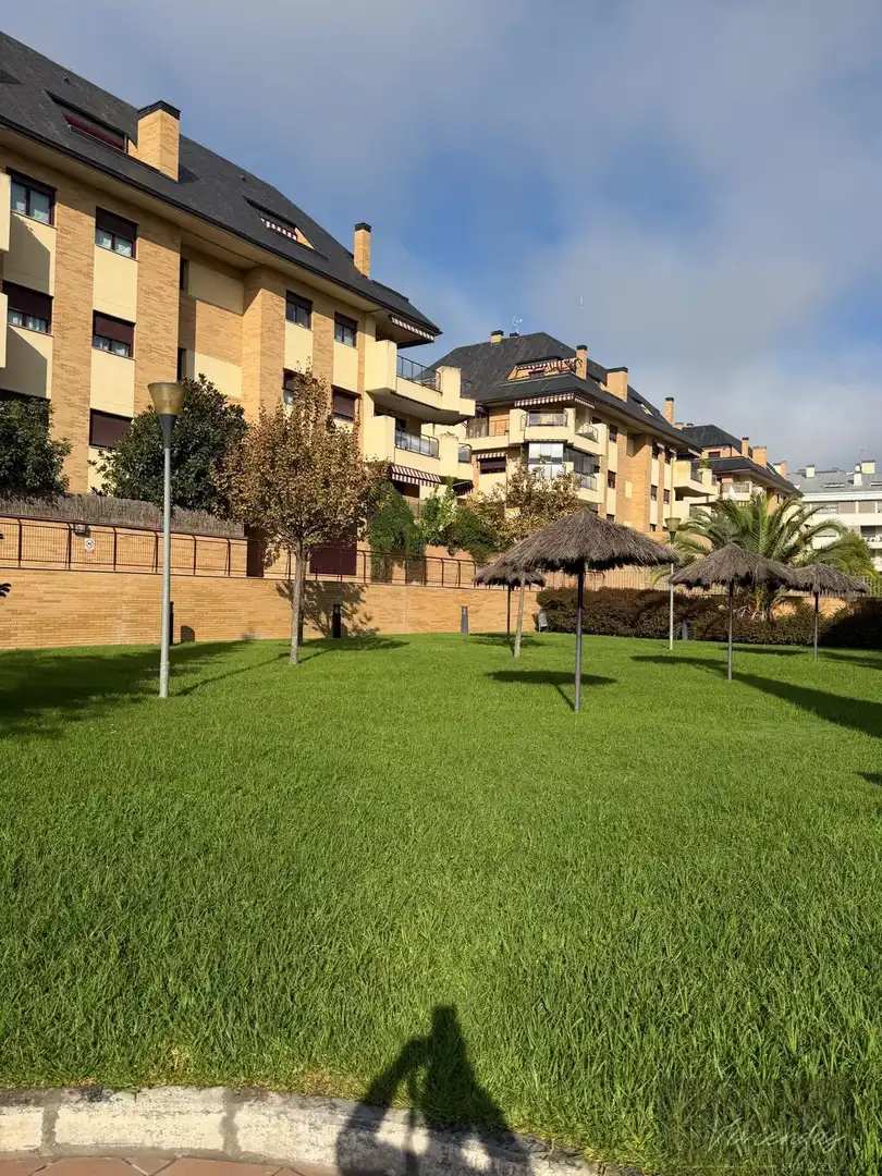 Penthouse with pool to rent in FRANCISCO TOMAS Y VALIENTE, imagen 3