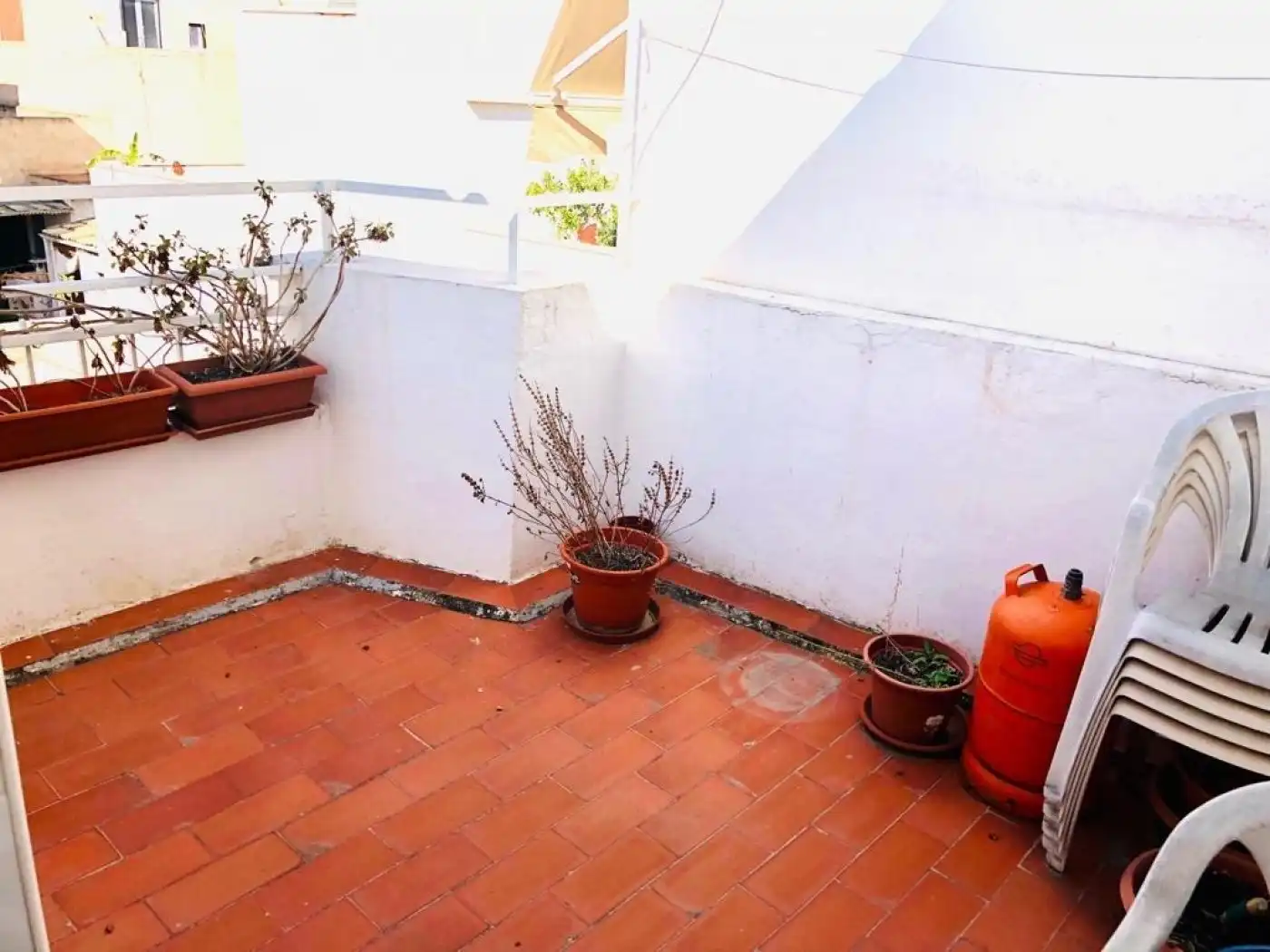 Terrace of Flat for rent in Elche / Elx  with Air Conditioner, Terrace and Furnished