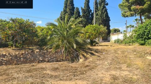 Foto 4 de Finca rústica en venda a Rincón Bajo, Benidorm