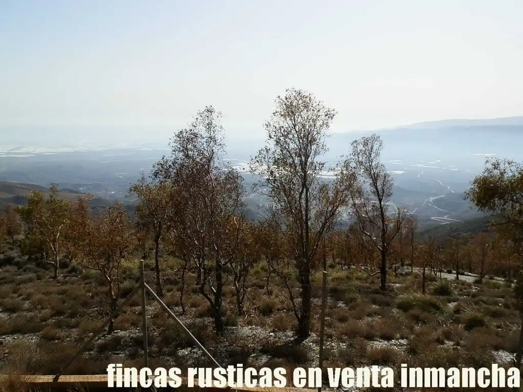 Terreny rústic en venda a Pechina, imagen 13