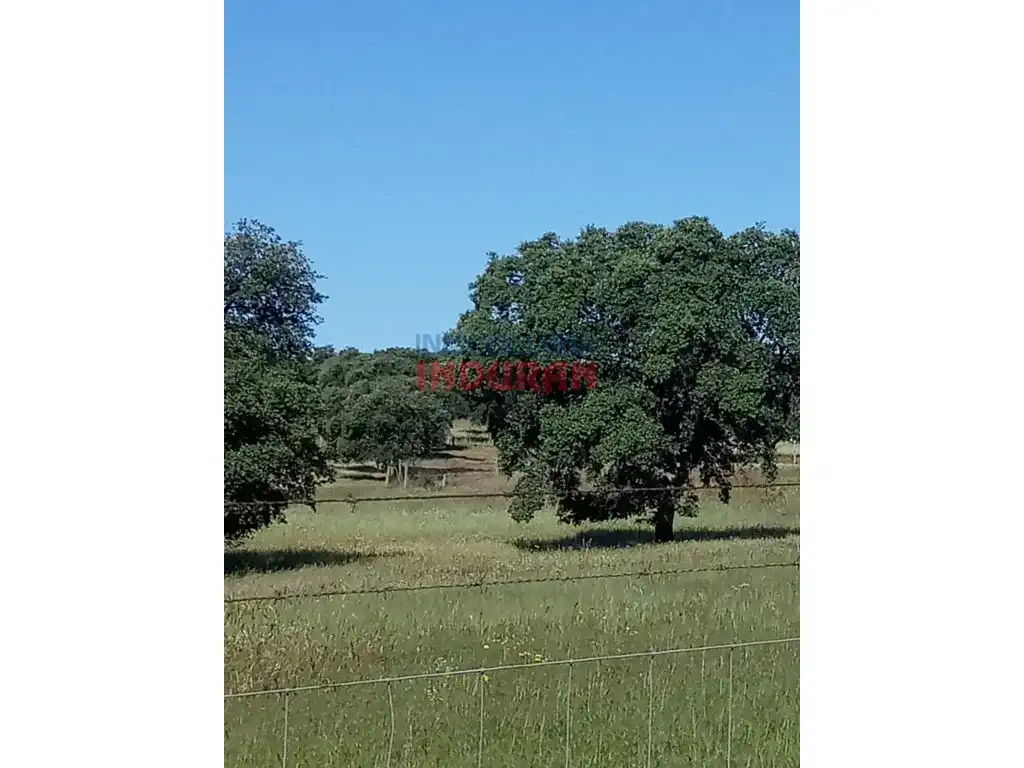 Finca rústica en venda en Alcolea de Tajo
