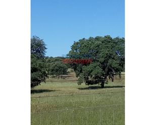 Country house zum verkauf in Alcolea de Tajo