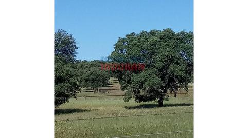 Photo 2 of House or chalet for sale in Alcolea de Tajo, Toledo