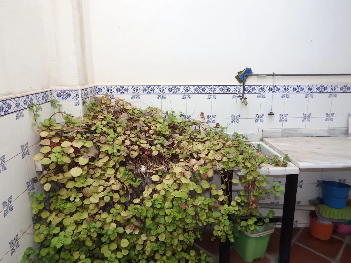Garden of Houses for rent in Buñol  with Air Conditioner, Heating and Terrace