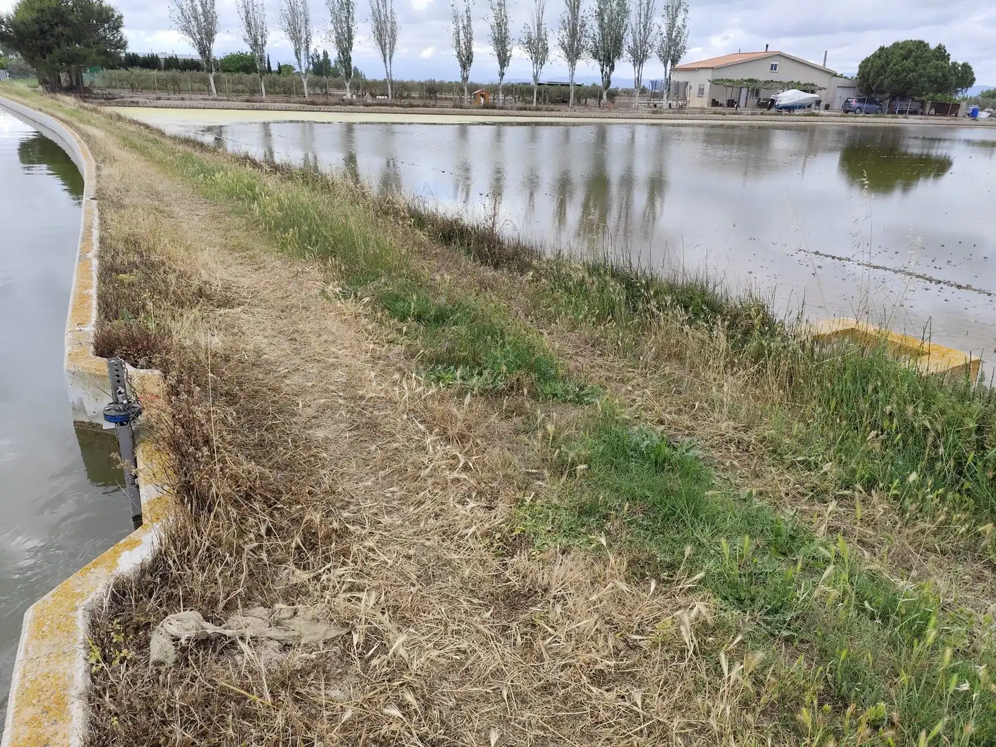 Terreny rústic en venda a Calle canalet de les salines partida bordiset, imagen 8