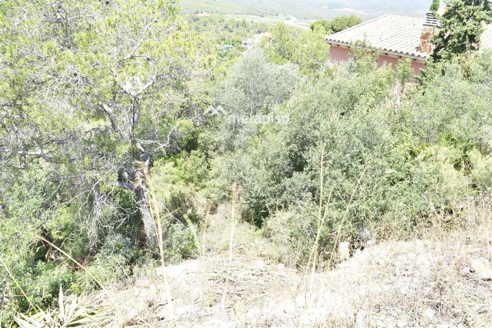 Rural land for sale in La Bisbal del Penedès, imagen 2