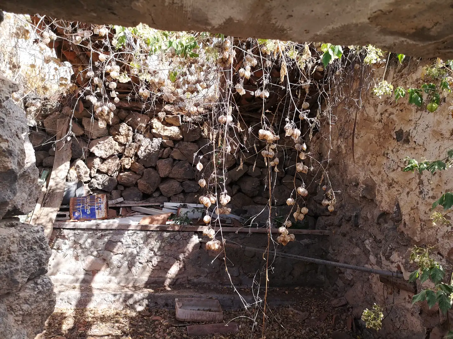 Jardín de Casa o chalet en venta en Icod de los Vinos