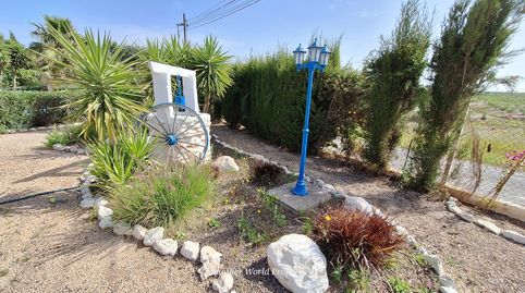 Foto 3 de Finca rústica en venta en Alameda, Cartagena