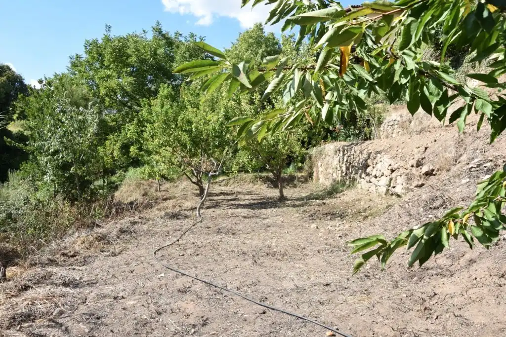 Terreni e lotti in vendita a Beceite, imagen 7