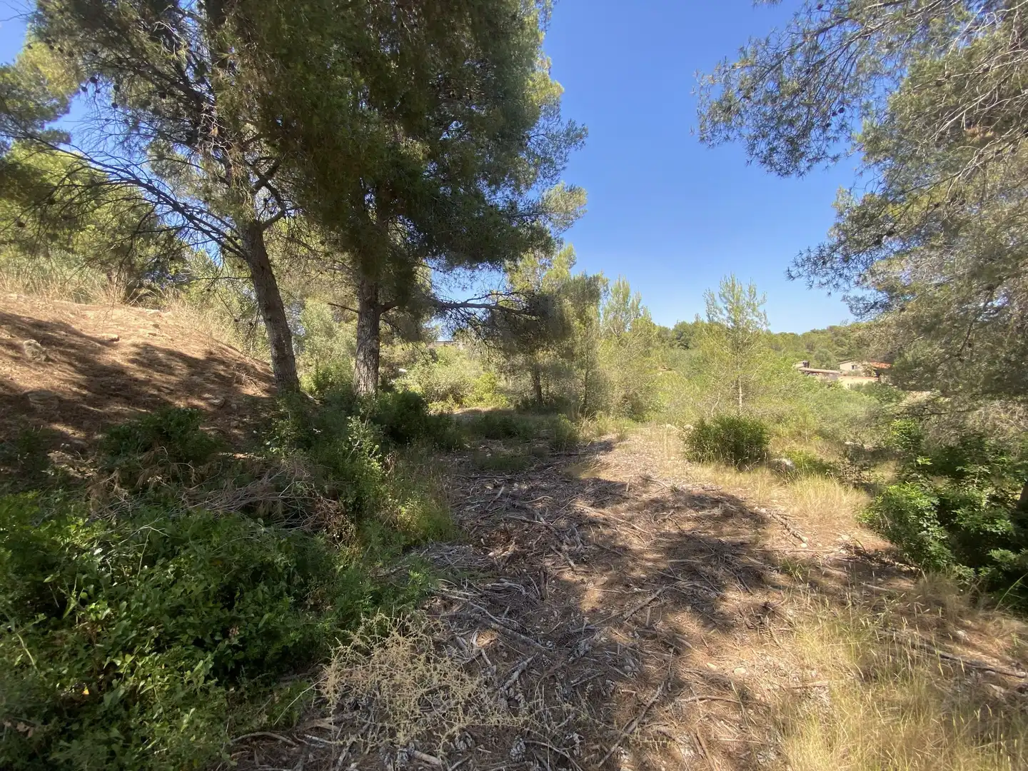 Residential land for sale in Urbanitzacions de Llevant, imagen 22