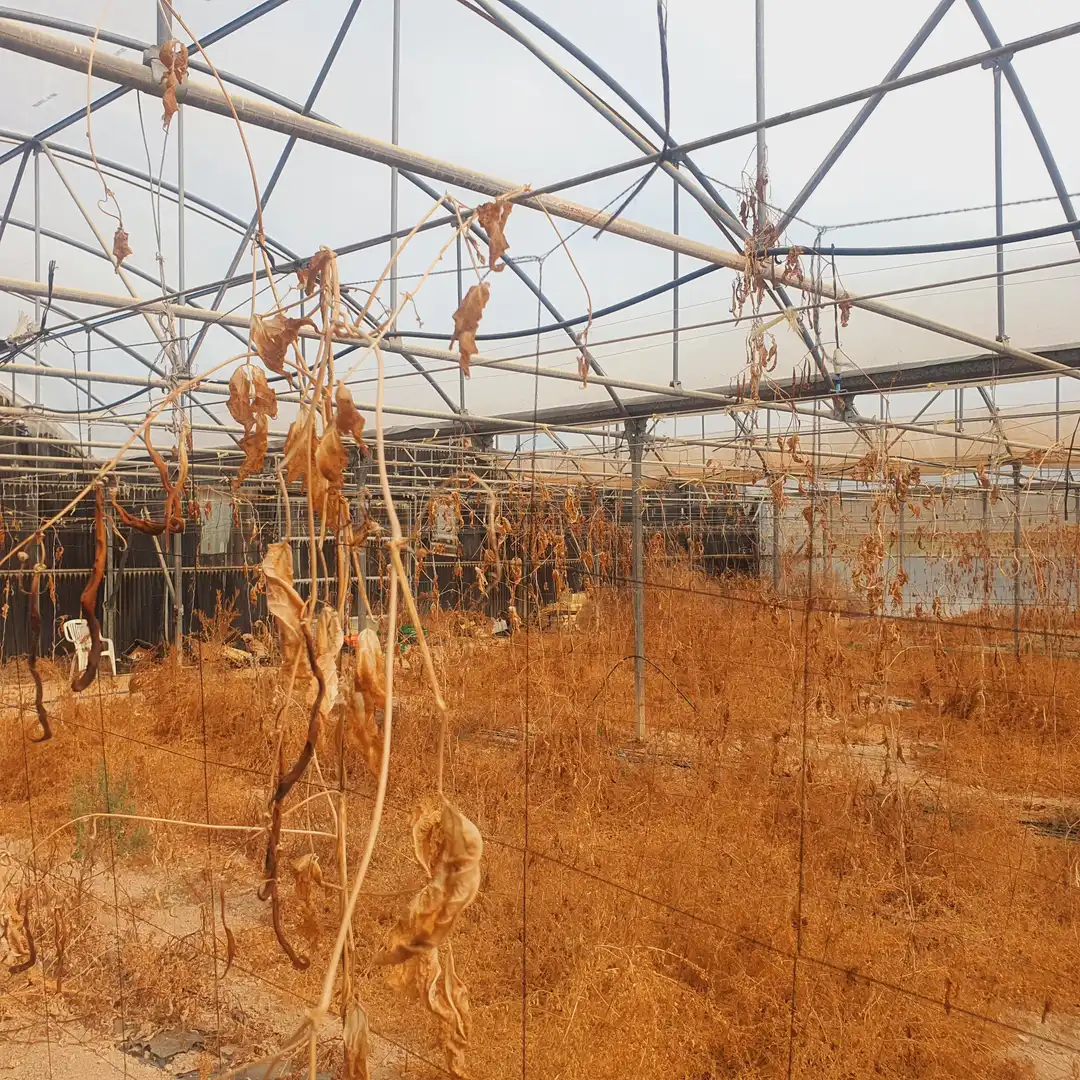 Rustikales Grundstück zum Verkauf in El Pinell de Brai, imagen 20