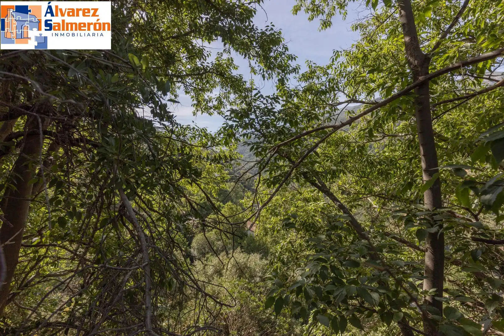 Lands and plots for sale in Carretera de Maitena, imagen 5
