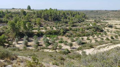 Finca Rúst. en venta en Castelldans.