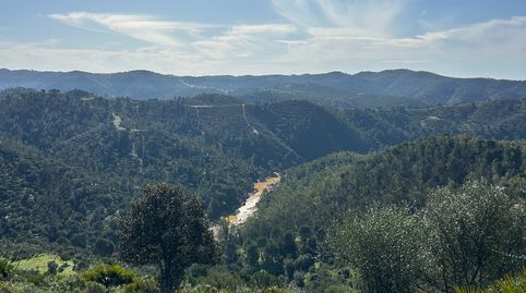 Photo 4 of Land for sale in Calle Don Jose Troyano, Calañas, Huelva