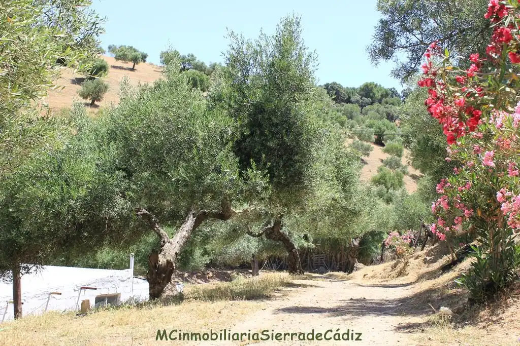Exterior view of Country homes for sale in El Gastor  with Private garden, Terrace and Storage room