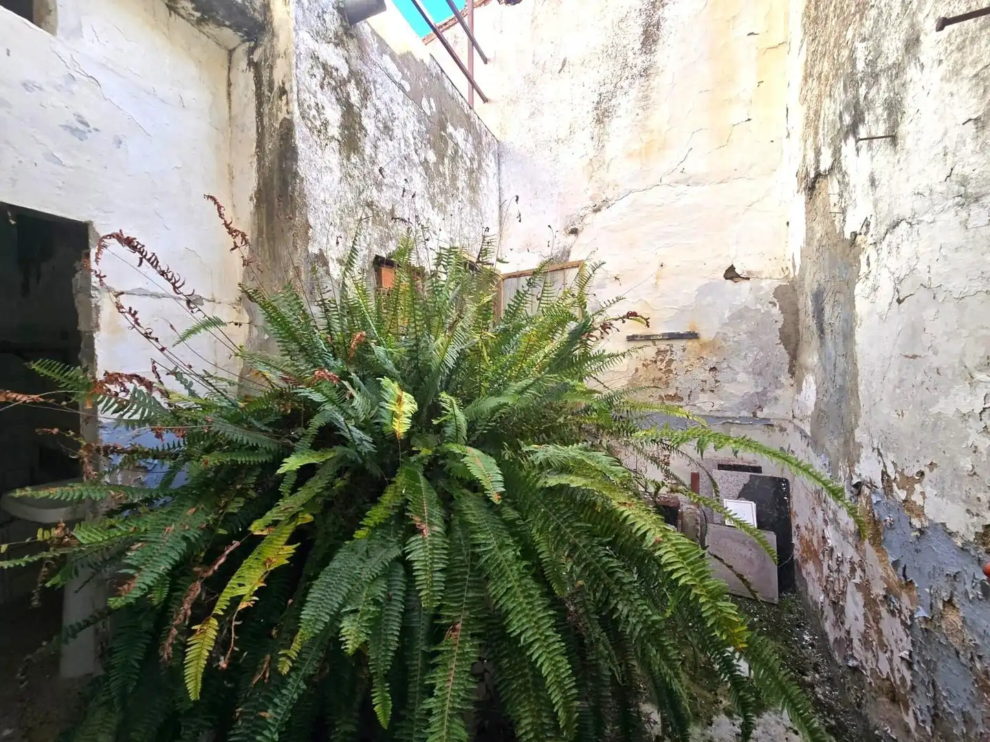 Haus mit Terrasse zum Verkauf in Calle REY, imagen 15