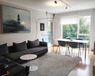 Sala d'estar de Pis de lloguer en Donostia - San Sebastián  amb Calefacció, Terrassa i Es permeten mascotes