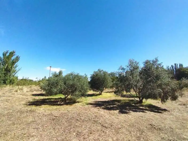Casa rústica en venda a Camino Perdiguera, imagen 13