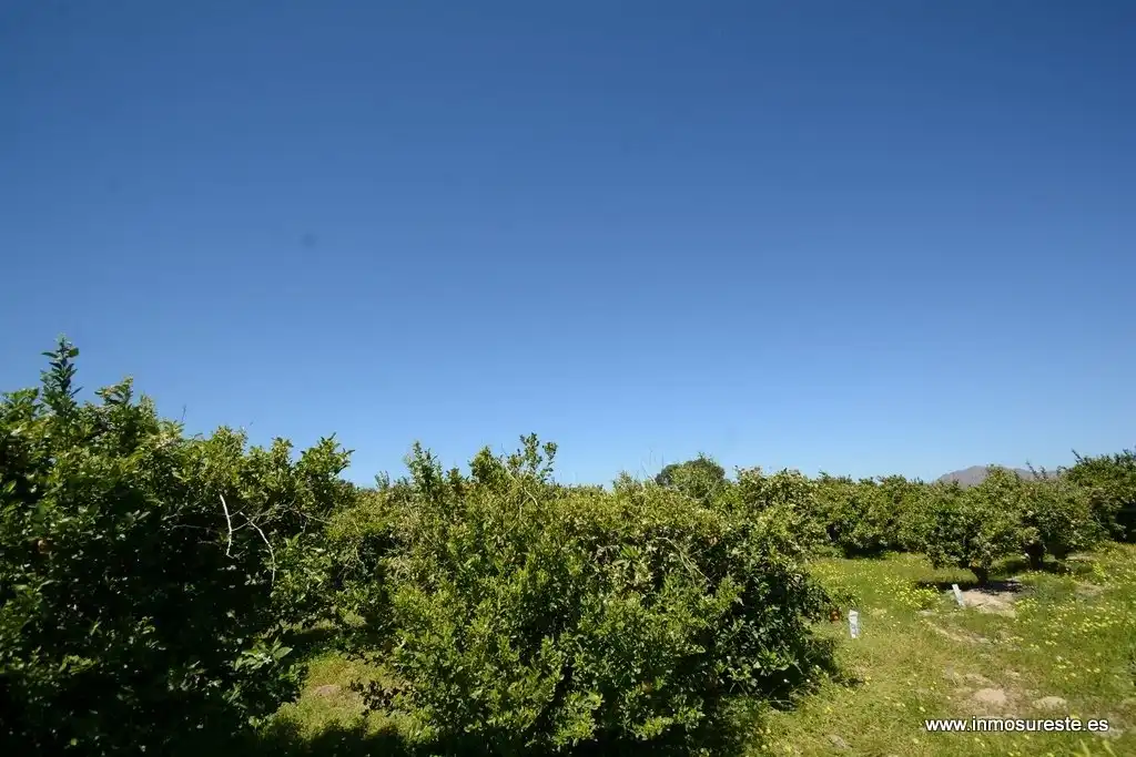Terrenos y solares en venta en Jacarilla, imagen 6