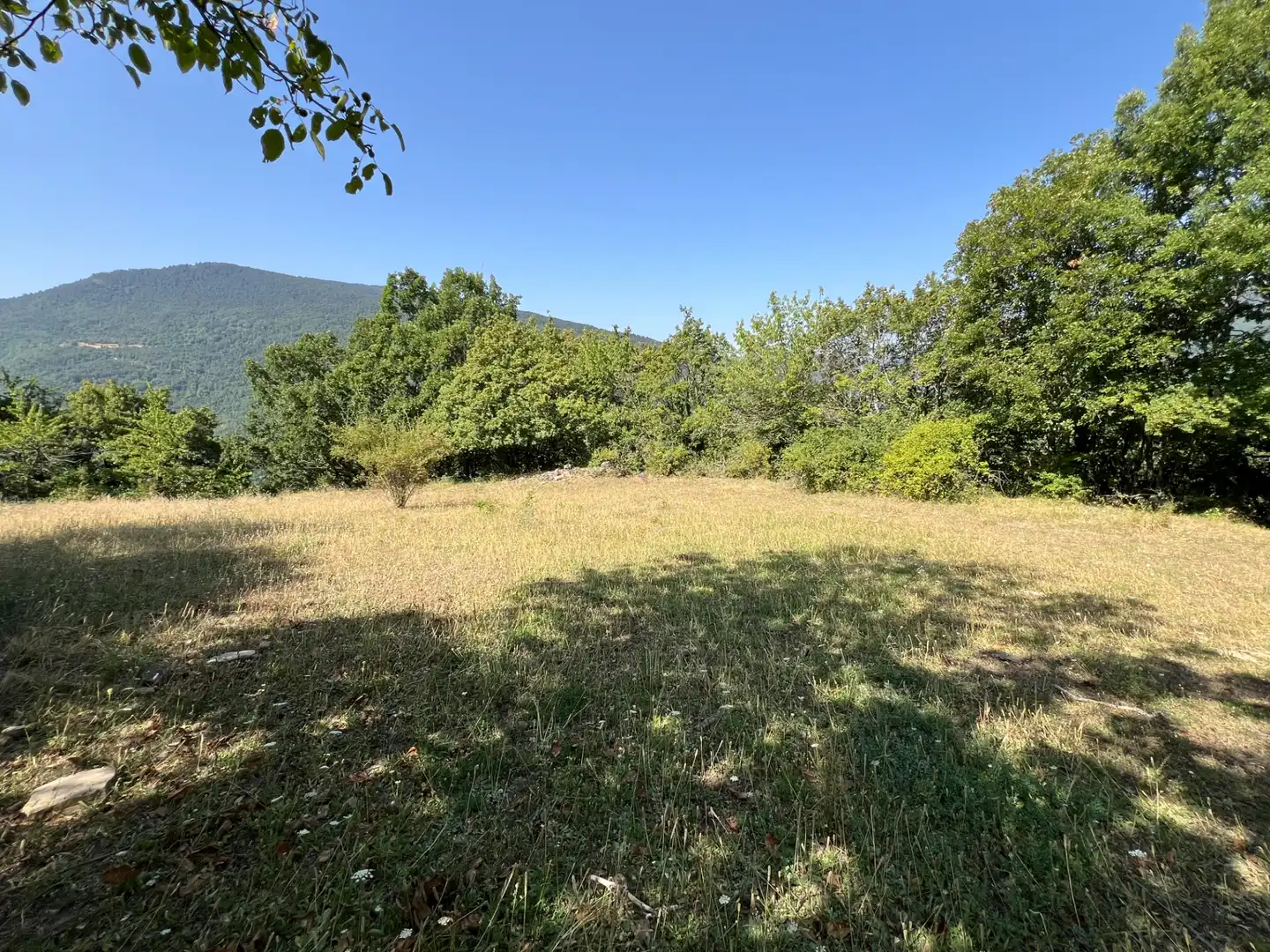 Land for sale in Broto