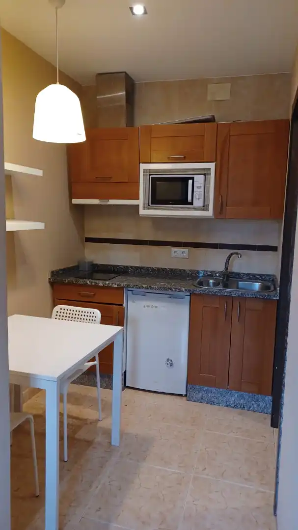 Cuina de Estudi de lloguer en Ourense Capital  amb Calefacció, Parquet i Moblat