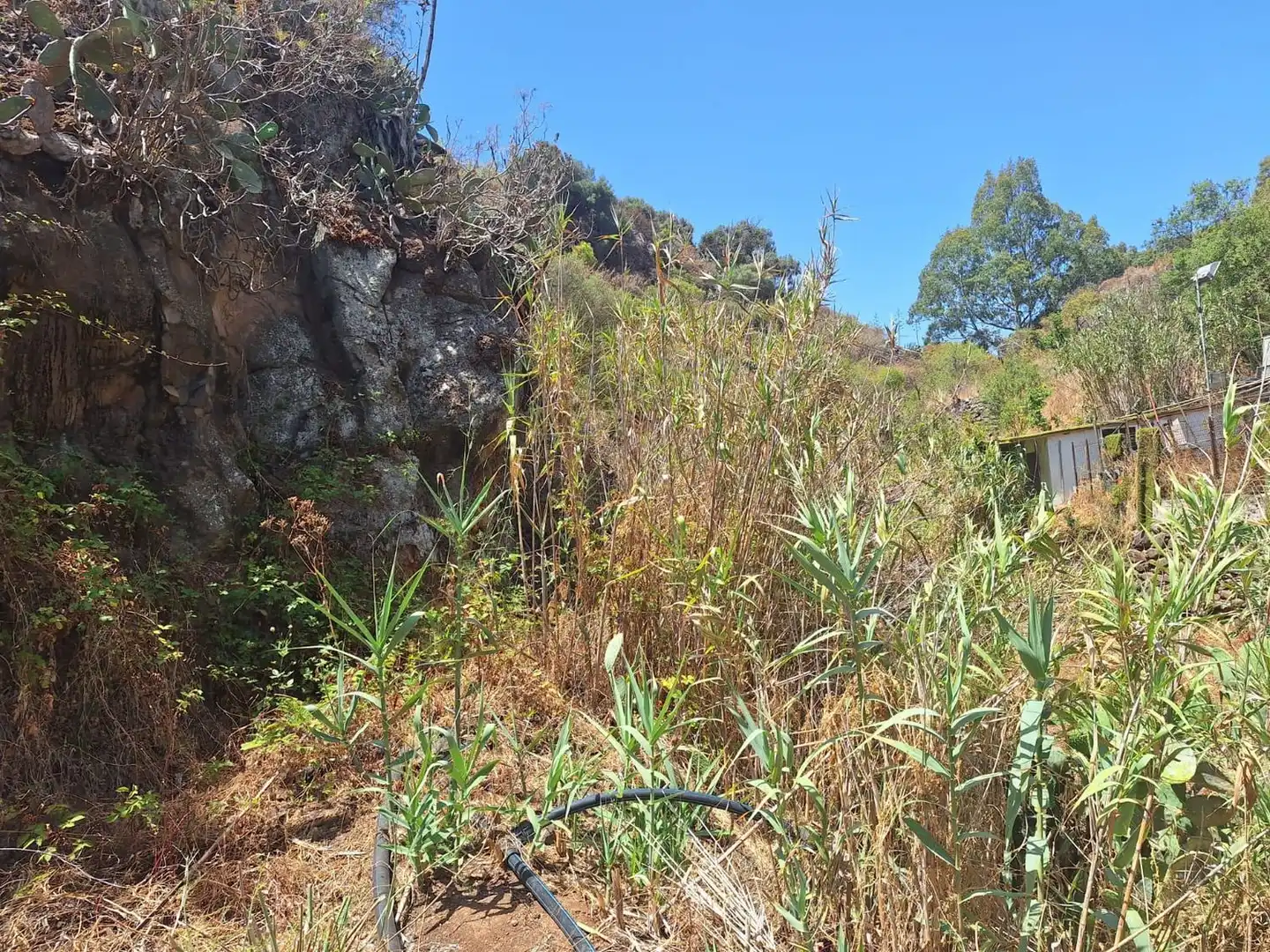 Xalet amb jardí en venda a Camino Pino Santo Bajo, imagen 17