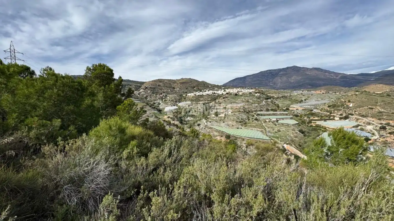 Vista exterior de Terreno en venta en Gualchos