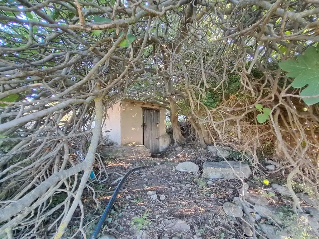 Rural land for sale in Zn Diseminats 8, imagen 20