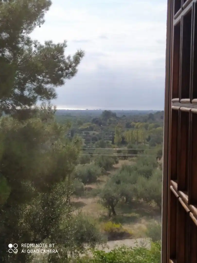 Terreno rustico in vendita a Vial Camino, imagen 4