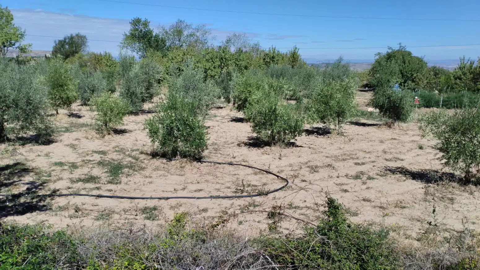 Terreno en venta en El Redal, La Rioja