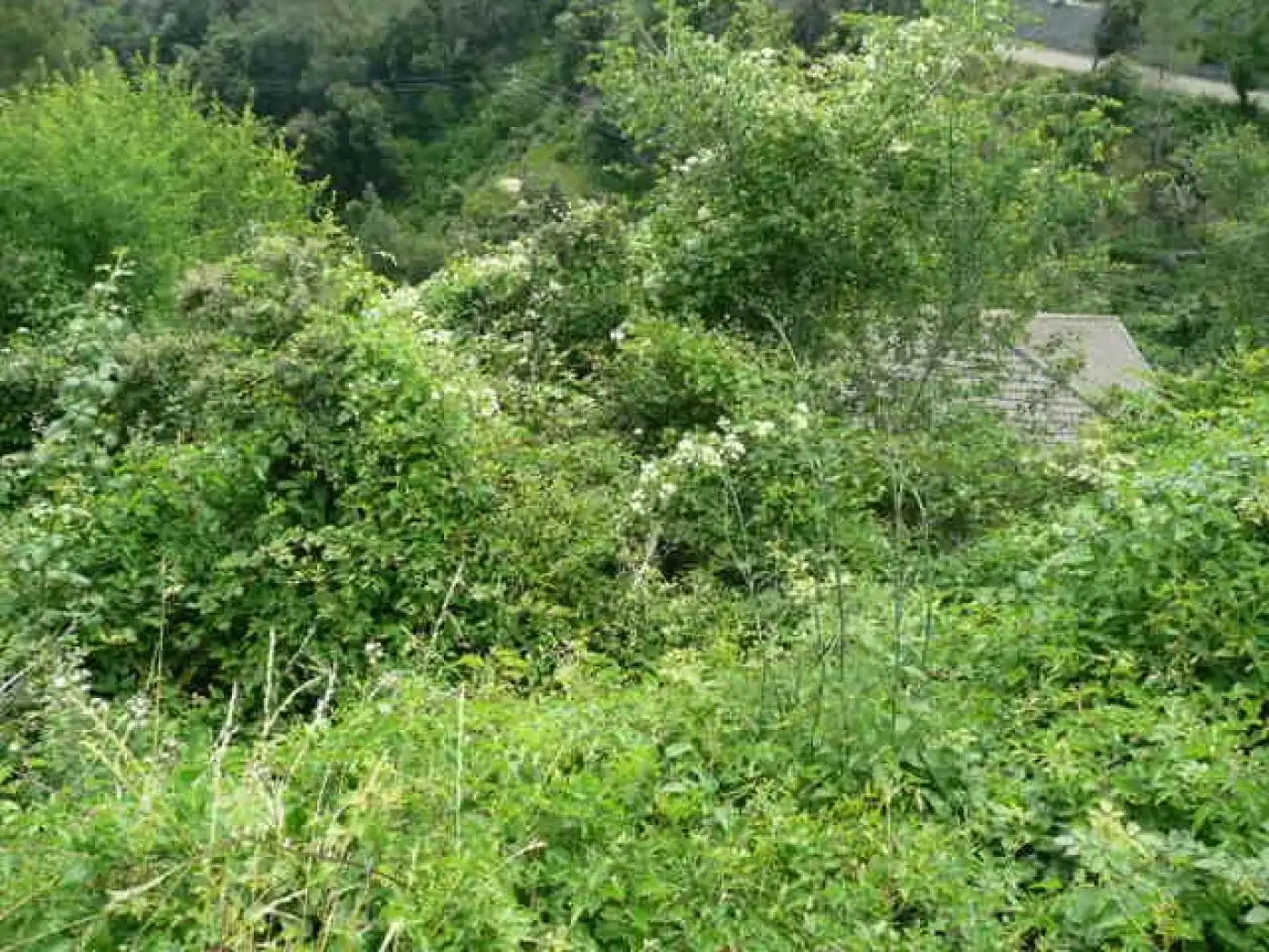 Wohnbaugrundstück zum Verkauf in Corbera de Llobregat, imagen 6